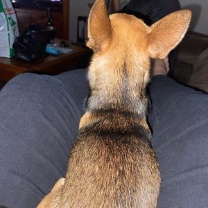 Meet your Posher, Karina